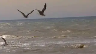 Останови мгновение...
