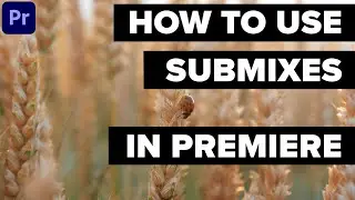 Learn how to Use Submixes in Adobe Premiere Pro