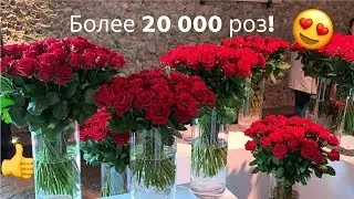 Królewska Wystawa Róż | Выставка роз в Королевском замке в Варшаве