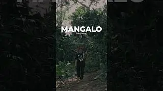 Mangalo #teaser #dokumenter