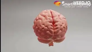 Brain Gym Exercises - Sualthe Table