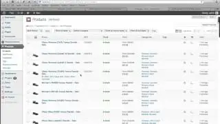 WP All Import WooCommerce Add-on Review