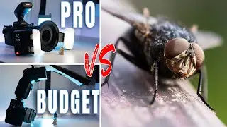 MAKROFOTOGRAFIE: Altglas vs Makroobjektiv was kann ein 100 EURO Setup?😱😱😱