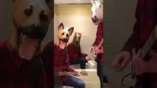 Когда на складе неадекваты или "Paranoid" by Black Sabbath covered in the bathroom