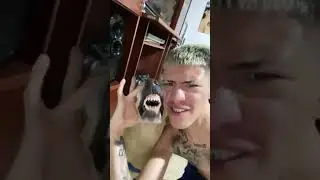 Чел и собака вместе поют биты