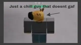 Playing Tsb with a Chill guy