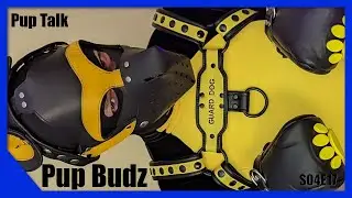 Pup Talk S04E17 Pup Budz