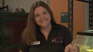 CFL Zoo Employee Highlight