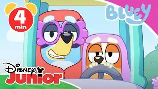 🤪 Bluey - Clip: Die coolsten Familienspiele | Disney Junior
