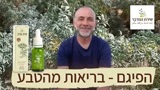 פיגם - בריאות מהטבע