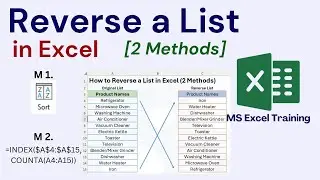 How to Reverse a List in Excel | Make a List Opposite in Excel