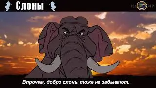 Топ интересных фактов 