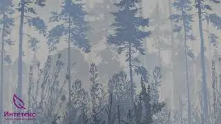 КПБ Бязь Туман