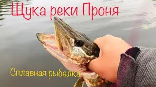 Рыбалка на спиннинг сплавом!!!