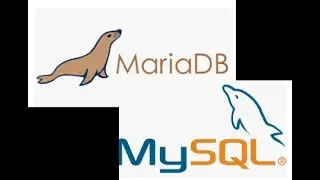 MariaDB / MySQL Course Chapter 1