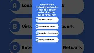 Which network extends a private network over public networks?