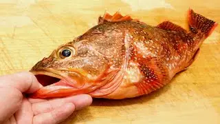 カサゴ（ウッカリカサゴ）のさばき方と刺身の作り方　　Scorpion fish sashimi