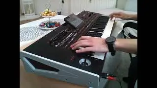 Saban Saulic Live Mix Korg pa4x