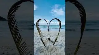 Nature view near sea #nuture #sea