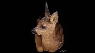 🫶🧡#foryou #video #photography #animals #home #world #cute #family #facts #farming #fortnite #2024