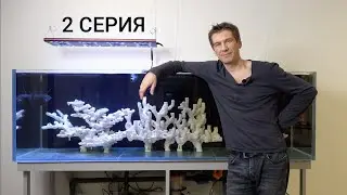 2 СЕРИЯ Запуск смешанного рифа