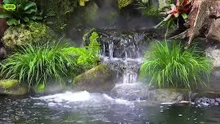 Nhạc thư giãn buổi sáng ,Vườn nhà cam 4