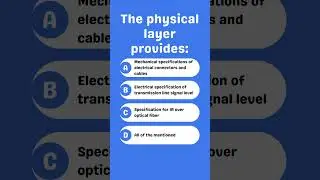 The physical layer provides: