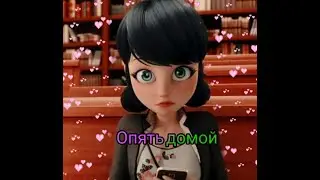 Клип/Опять домой/Леди Баг  и Супер Кот