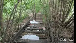Заброшенные ж/д ветки.