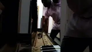 Piano Repairs, Rebushing and replacement of keys