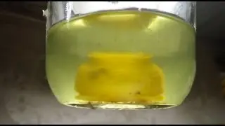 Что будет с полиуретаном в бензине (Polyurethane Bushes and Fuel)
