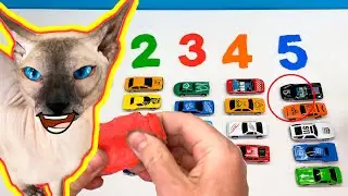 Учим цифры и цвета с Play-Doh, машинками и котом Марсиком