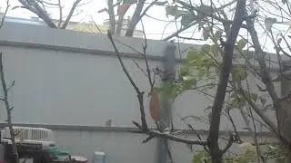 12 ноября 2018