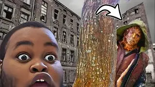SEFUS SAW SOMETHING NASTY N DISTURBING AT THE NEW APT!
