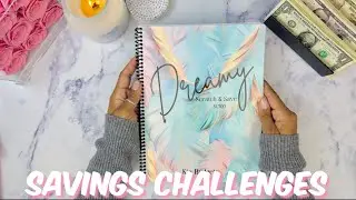 SAVINGS CHALLENGES | 100 ENVELOPE SAVINGS CHALLENGE | CASH STUFFING | CASH ENVELOPES | CASH BINDERS