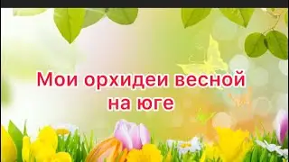 Переезд на юг и адаптация орхидей . Цветение орхидей весной #переезднаюг #орхидеи #садовод