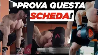 MASS CARD: push-pull-legs