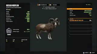 TheHunter: COTW PS5 Diamond and rare highlights #41