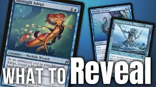 The Best Cards to Reveal to Silvergill Adept | Modern Merfolk MTG
