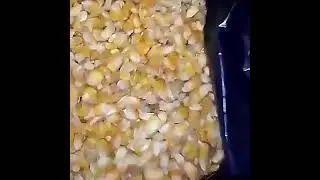Wholesales High Quality 100 Material Organic Dried Corn Mazie Sweet Bag 1kgFor Cooking From Viet Nam