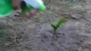 Naturaleza Humana (Cortometraje)
