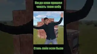 Когда клан пришел чекать твою кибу в раст 