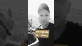 тот самый ролик о правде!