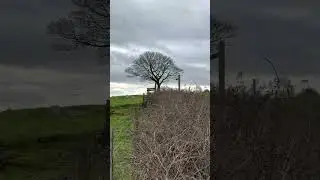 Windy moor