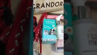 #бенгал #бенгальскаякошка #кот