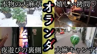 夜遊び・大麻・マリファナ合法！何でもありのアムステルダム！