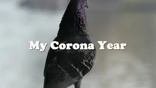 My Corona Year (Most Emotional Music_ Epilogue by Ólafur Arnalds)