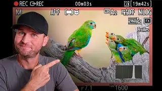 BEGINNER To PRO In 20 min! The VIDEO Settings & Techniques You NEED TO KNOW!