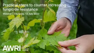 Practical steps to counter fungicide resistance