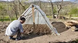 How to make a nylon greenhouse in the garden, how to plant tomato seedlings, gardening vlog🐢